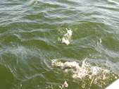 Enlarge photo 167