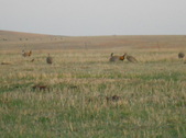 Enlarge photo 179