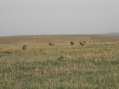 Enlarge photo 180