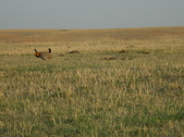 Enlarge photo 182