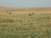 Enlarge photo 183