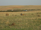 Enlarge photo 178
