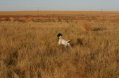 Enlarge photo 128