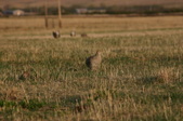 Enlarge photo 186