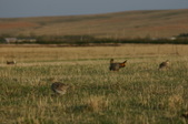 Enlarge photo 189