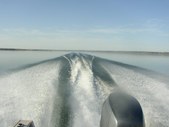 Enlarge photo 84