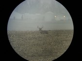 Enlarge photo 86