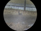 Enlarge photo 103