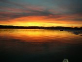 Enlarge photo 107