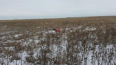 Enlarge photo 240