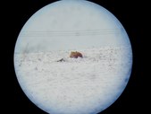 Enlarge photo 45