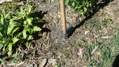 Enlarge photo 2
