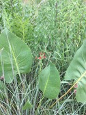 Enlarge photo 24