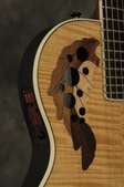 Enlarge photo 16