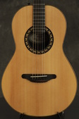 97 Ovation Collectors Edition 5-8-19