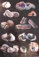 Enlarge photo 556