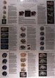 Enlarge photo 499