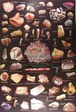Enlarge photo 501