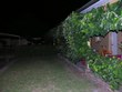 Enlarge photo 67