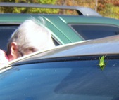 Enlarge photo 27