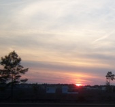 Enlarge photo 33