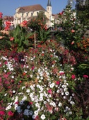 Enlarge photo 4