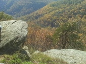 Enlarge photo 39