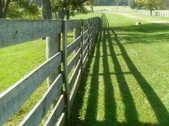 Enlarge photo 37