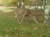 Enlarge photo 30