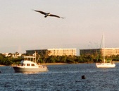 Enlarge photo 33