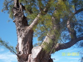 Enlarge photo 37
