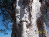 Enlarge photo 38
