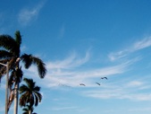 Enlarge photo 36