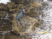 Enlarge photo 39