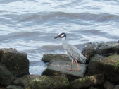 Enlarge photo 31