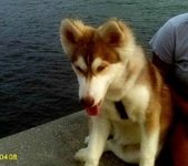 Enlarge photo 27