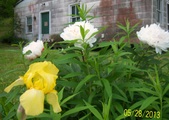 Enlarge photo 2