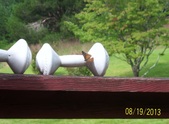 Enlarge photo 5