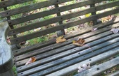 Enlarge photo 25