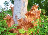 Enlarge photo 28