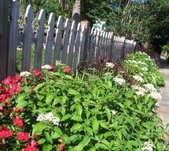 Enlarge photo 35