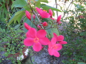Enlarge photo 38