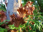 Enlarge photo 29