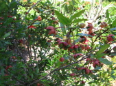 Enlarge photo 39