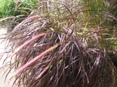 Enlarge photo 34