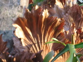 Enlarge photo 30