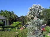 Enlarge photo 36