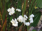 Enlarge photo 37
