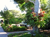 Enlarge photo 27