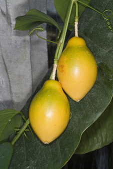 Nikon D200 (AND EOS 5D comparison)